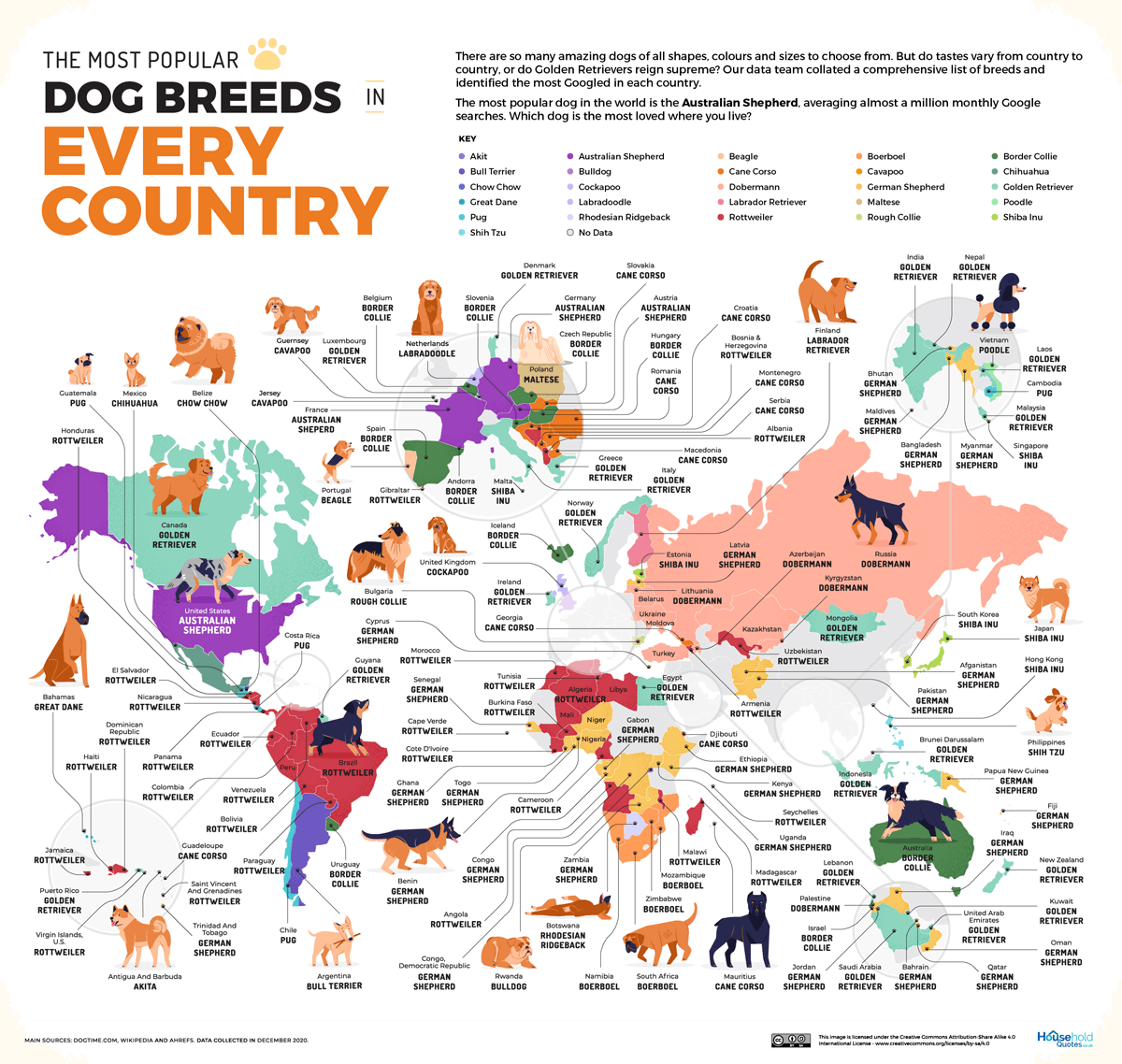 most popular dog breed