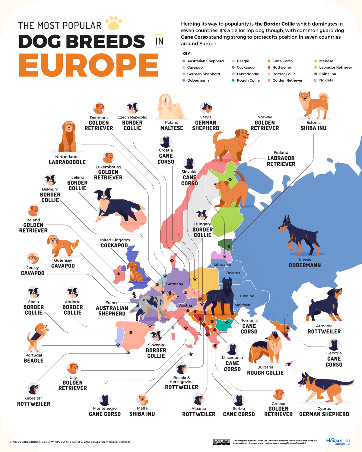 most popular dog breed europe