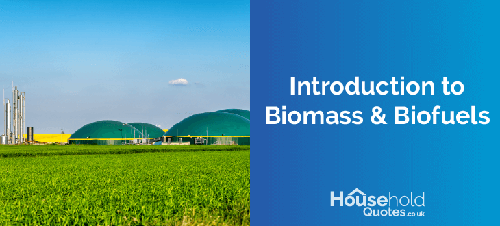 Biomass and Bio Fuel