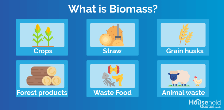 What is biomass