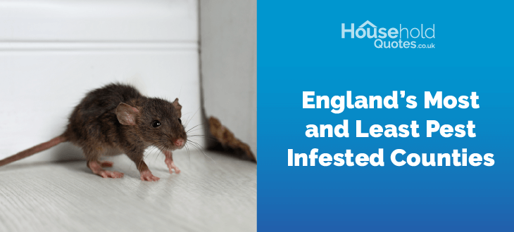 England’s Most and Least Pest Infested Counties