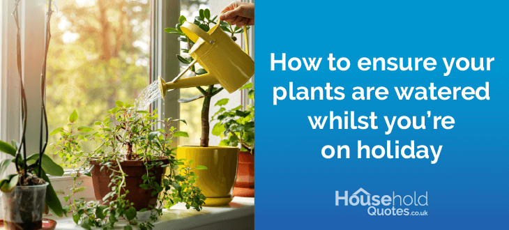 How to ensure that your plants are watered whilst you’re on holiday