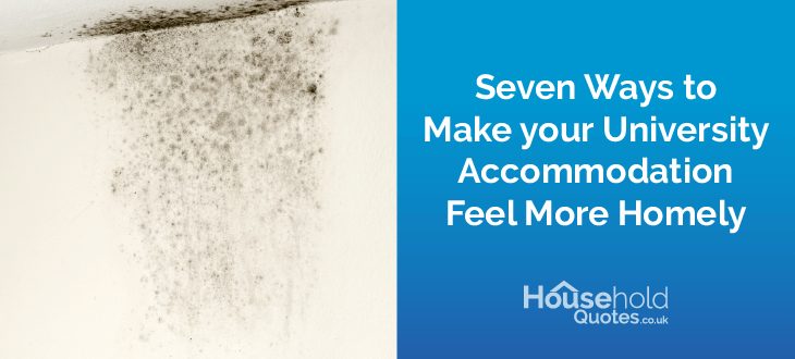 Seven tips to avoid dampness and mould in your home