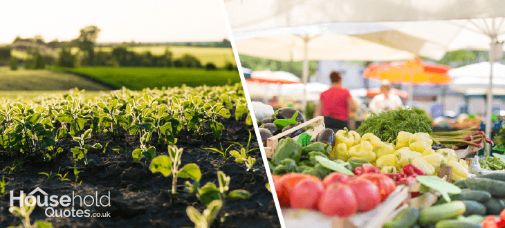 Organic vs Non-Organic Farming