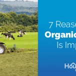 Why organic farming is important