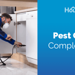 Pest Control Complete Guide: 2024